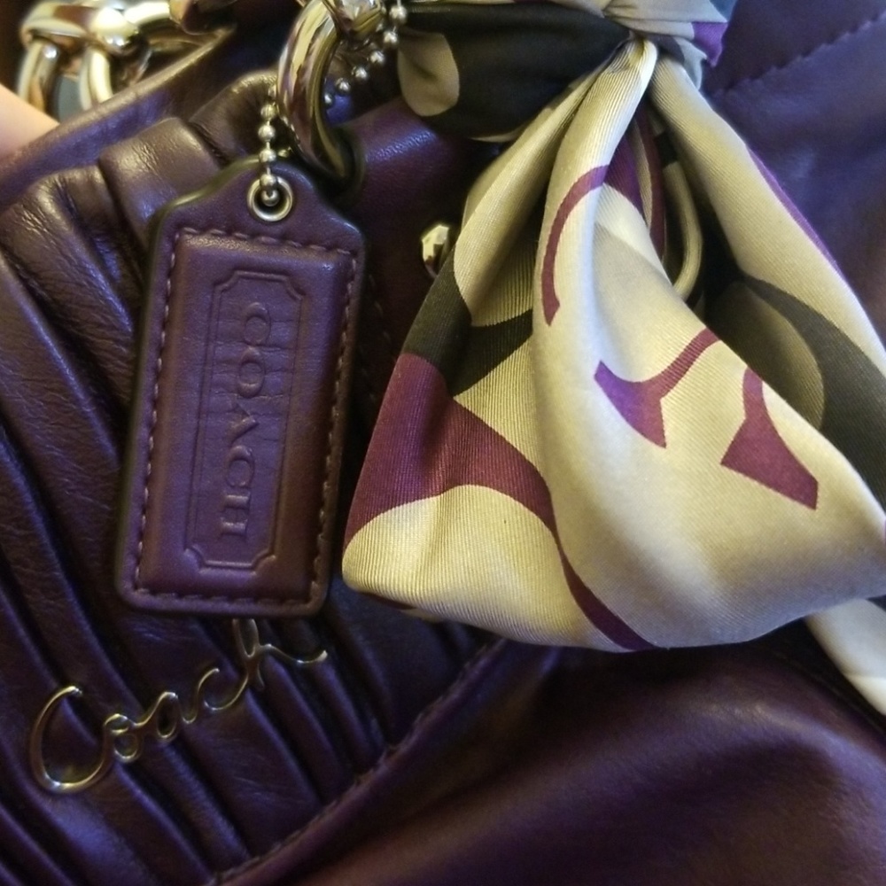 ๐ EXTRA PICS ASHLEY PURPLE - Picture 1 of 8